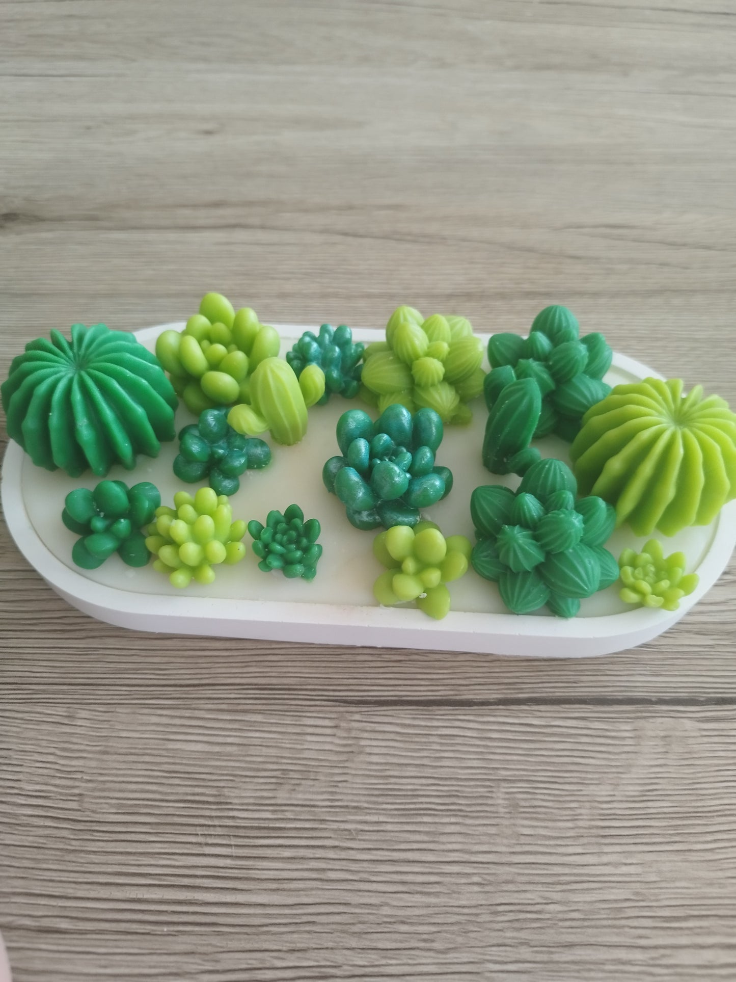 Composition fondants cactus parfum Odyssée japonaise