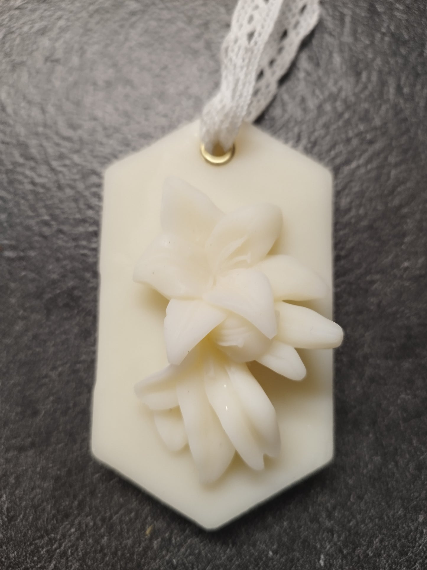 Orchidée blanche