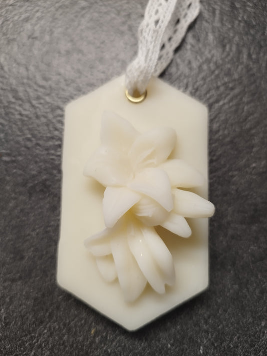 Orchidée blanche