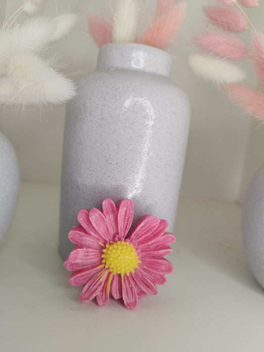 fondant fleur fruits rouges