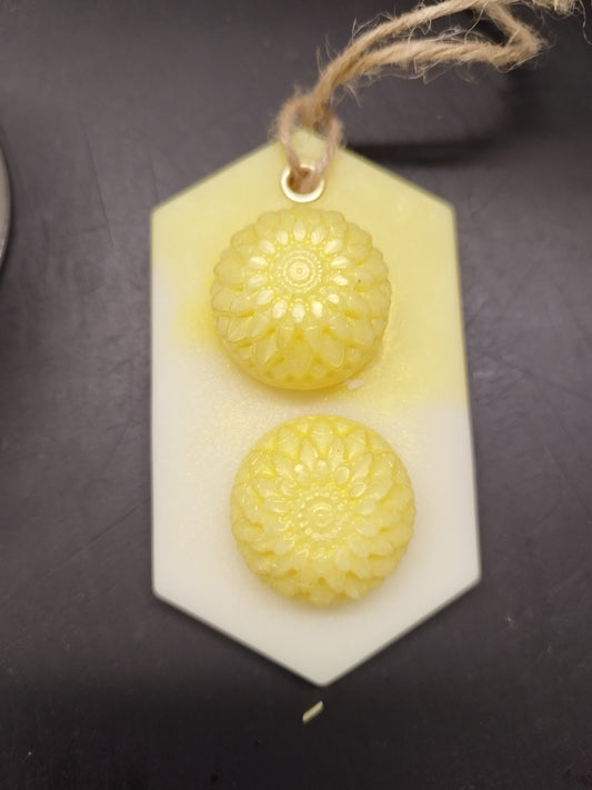 Mimosa