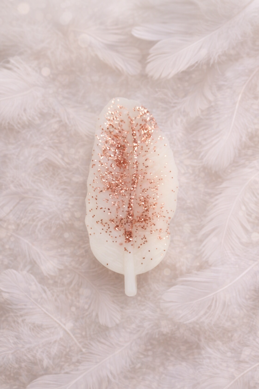 orchidée blanche