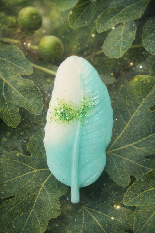 Poire et bois de figuier