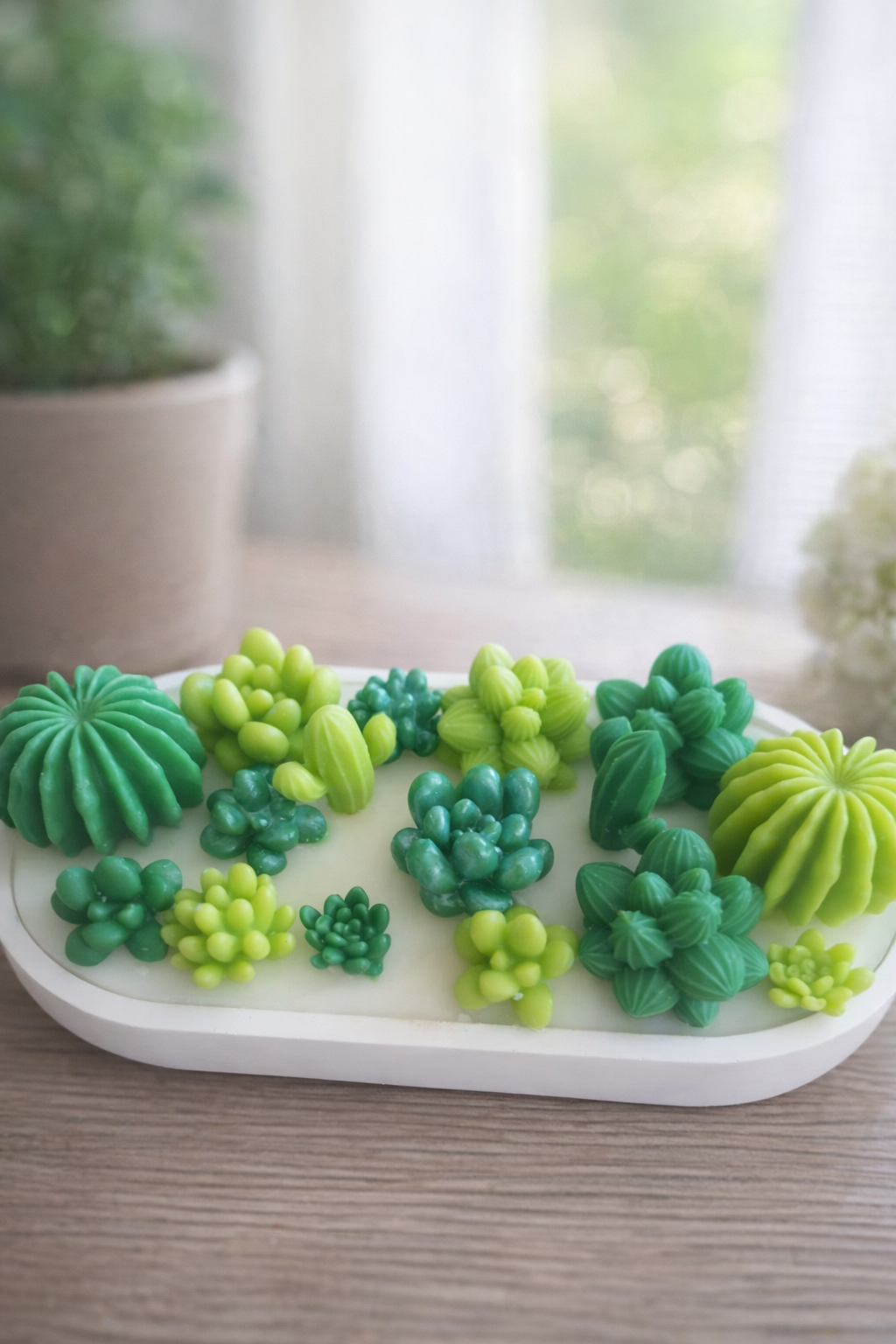 Composition fondants  cactus  parfum Odyssée japonaise