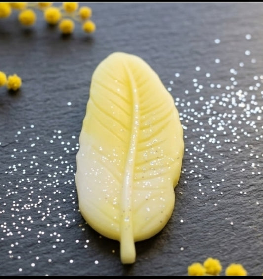 Mimosa