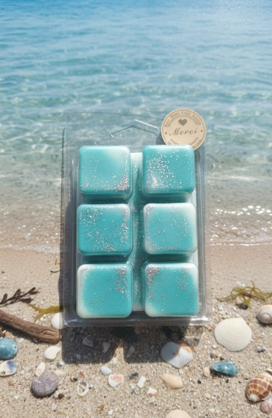 Tablette fondant parfumée bouquet marin