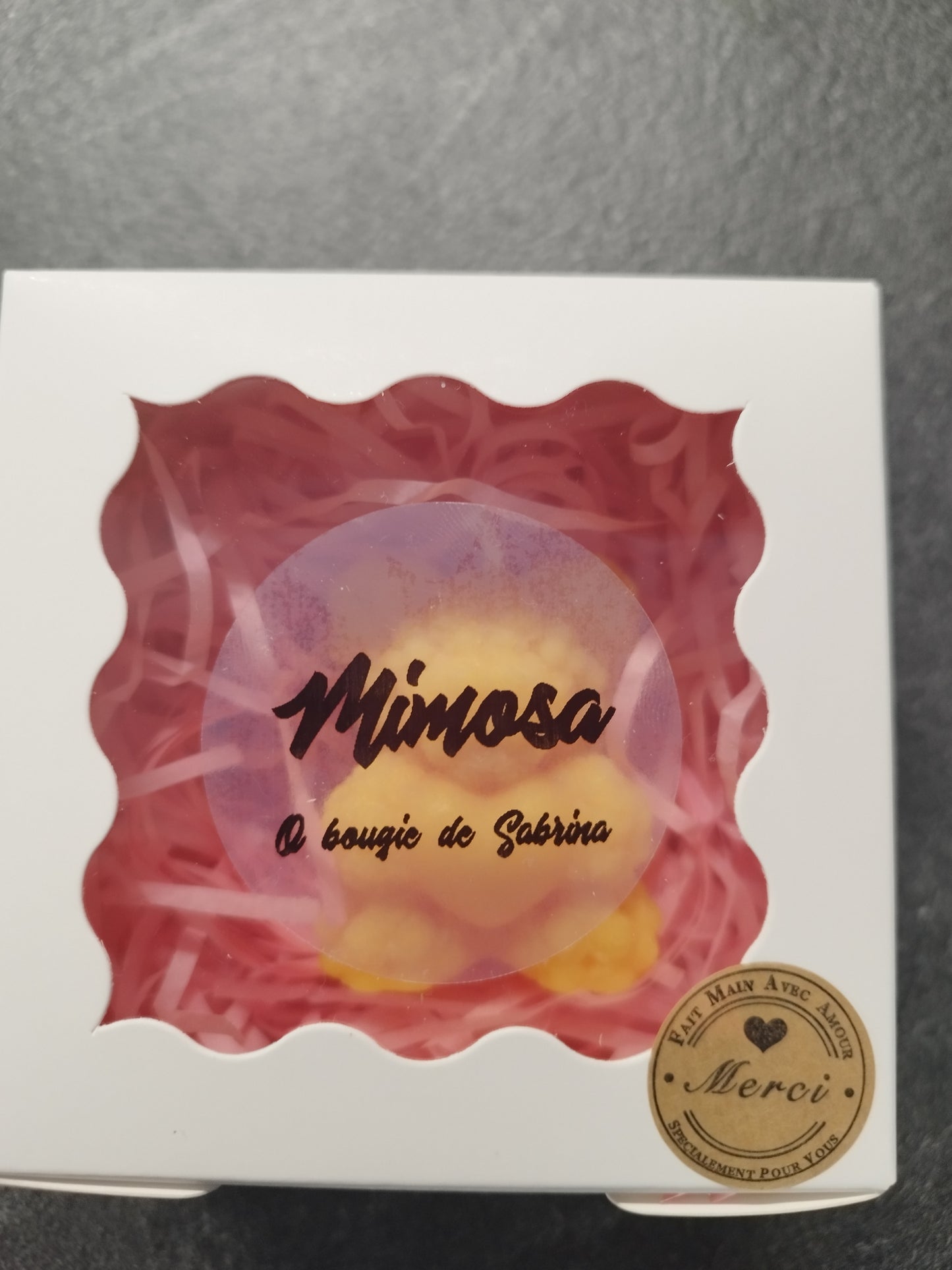 ourson mimosa