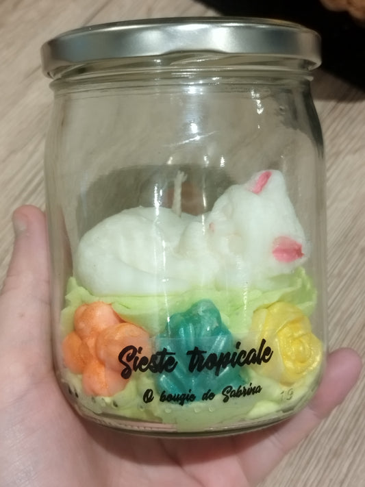 Sieste tropicale ( parfum monoï passion )