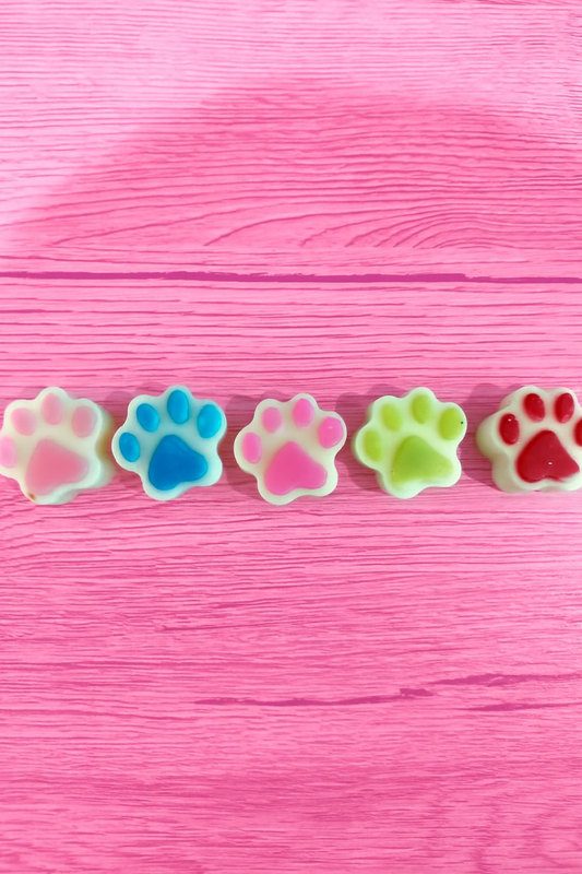 Coffret de 5 fondants en forme de patoune un Don de 2 euros seront reversés a l association un poil d espoir