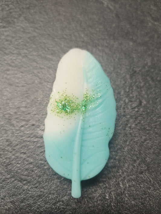 Poire et bois de figuier