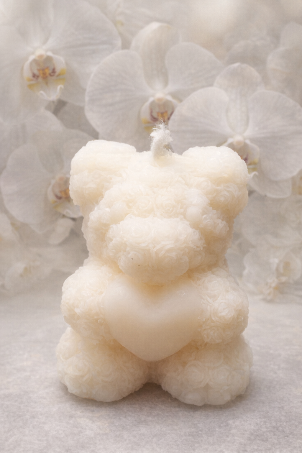 Orchidée blanche