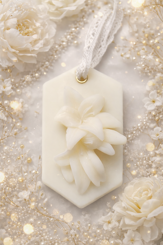 Orchidée blanche