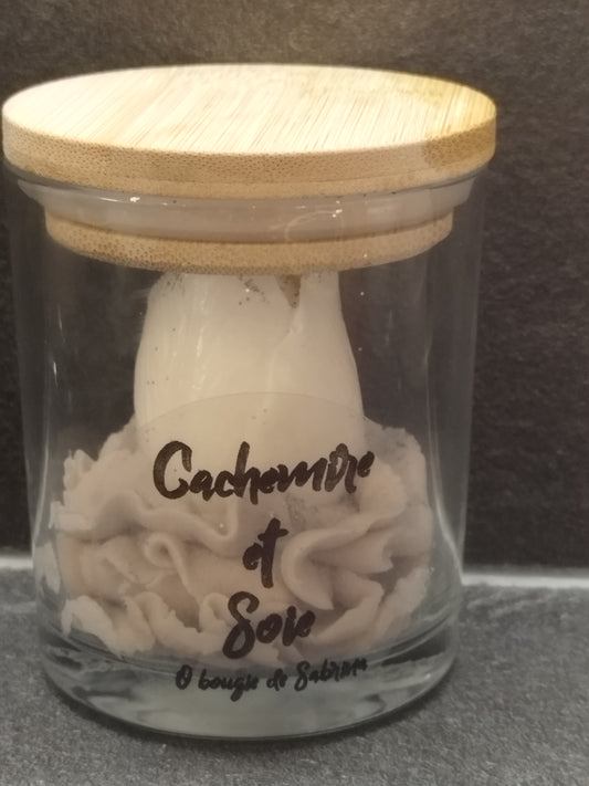 Cahemire et soie
