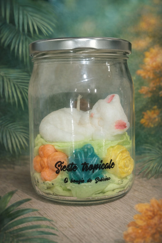Sieste tropicale ( parfum monoï passion )