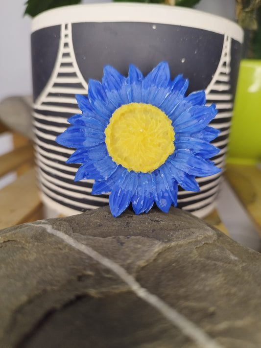 tournesol adoucissant